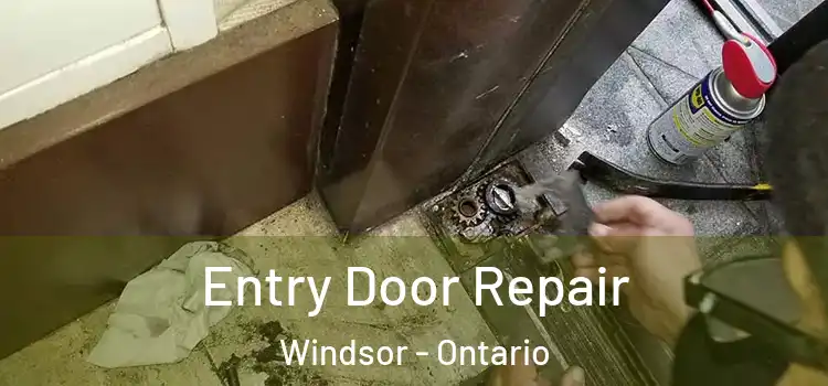 Entry Door Repair Windsor - Ontario