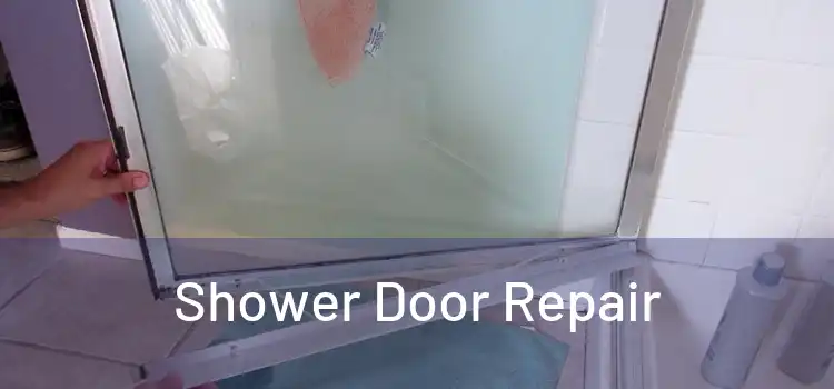 Shower Door Repair 